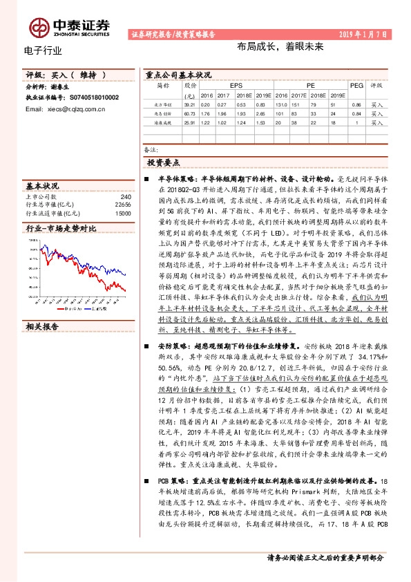电子行业投资策略报告：布局成长，着眼未来