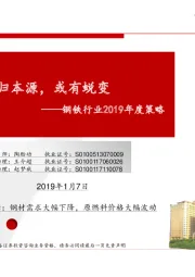 钢铁行业2019年度策略：回归本源，或有蜕变