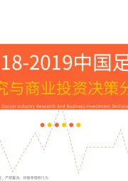 2018-2019中国足球产业研究与商业投资决策分析报告