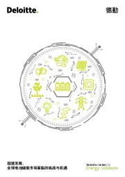 超速发展：全球电池储能市场面临的挑战与机遇