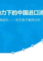 数字化驱动跨境电商成长——宝贝格子案例分析：跨境电商助力下的中国进口消费市场分析