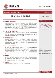 化工行业2019年投资策略：坚持自下而上，寻找需求热点