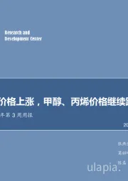 化工行业2019年第3周周报：国际尿素价格上涨，甲醇、丙烯价格继续跟随油价反弹