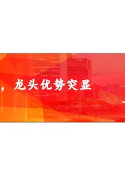 新能源汽车投资机会分享：产业链竞争加剧，龙头优势突显