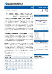 中小市值组新能源汽车周报第3期：19年补贴或将加速退坡，仍坚定看好电动化趋势