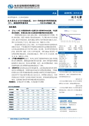 汽车行业周报第3期:发改委拟出台汽车刺激政策,2019年新能源补贴预期退坡50%,继续推荐保隆岱美