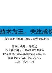 石化化工组2019年策略报告：技术为王，关注成长