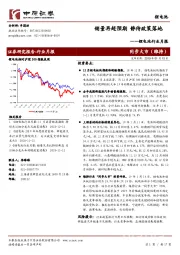 锂电池行业月报：销量再超预期 静待政策落地