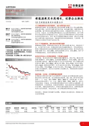 12月新能源乘用车销量点评：新能源乘用车高增长，优势企业渐现