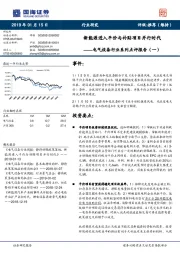 电气设备行业系列点评报告（一）：新能源进入平价与补贴项目并行时代