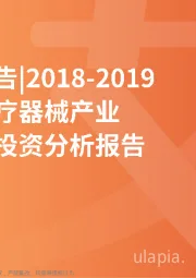 医疗器械行业：2018~2019中国医疗器械产业研究与投资分析报告