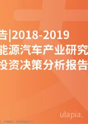 2018~2019中国新能源汽车产业研究与投资分析报告