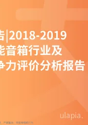 2018~2019中国智能音箱行业及产品竞争力评价分析报告