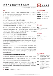 钢铁行业点评：淡水河谷重大矿难事故点评