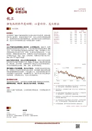 化工：锂电池材料年度回顾：以量补价，龙头胜出