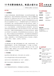 零售行业周报：19年消费持续承压，配置必需行业