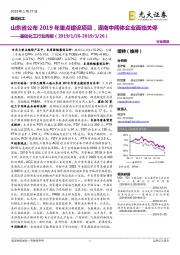 基础化工行业周报:山东省公布2019年重点建设项目,灌南中间体企业面临关停