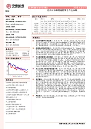 钢铁行业点评报告：巴西矿难有望重塑黑色产业格局