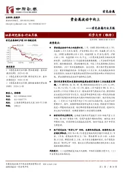 有色金属行业月报：贵金属波动中向上