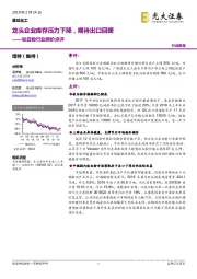 钛白粉行业调价点评:龙头企业库存压力下降,期待出口回暖