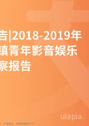 文化行业：2018-2019年中国小镇青年影音娱乐偏好洞察报告