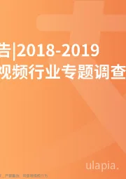 2018-2019中国短视频行业专题调查分析报告