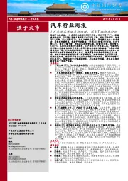 汽车行业周报：1月车市零售端有所回暖，第317批新车公示