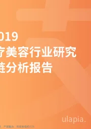 医疗健康：2018~2019中国医疗美容行业研究与产业链分析报告