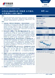 海外化工龙头2018年报跟踪之巴斯夫:化学品和功能材料业务下滑拖累18年盈利,19年展望收入利润小幅回升