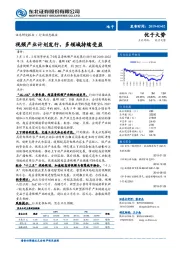 电子行业动态报告：视频产业计划发行，多领域持续受益