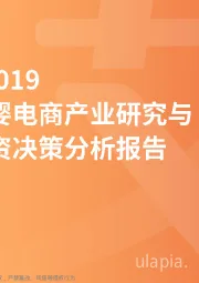 互联网：2018~2019中国母婴电商产业研究与商业投资决策分析报告