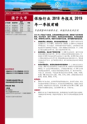 保险行业2018年报及2019年一季报前瞻：节奏调整回归保障本质，估值仍在底部区间