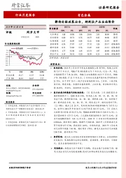 有色金属行业月度报告：静待补贴政策出台，特斯拉产品全面降价