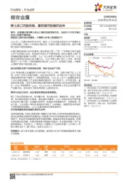 稀有金属行业点评:稀土进口风险延续,重视高风险偏好品种