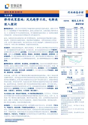 电力设备行业动态分析：静待政策落地：风光趋势不改，电解液深入探析