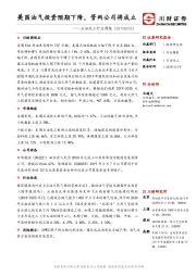 石油化工行业周报：美国油气投资预期下降，管网公司将成立