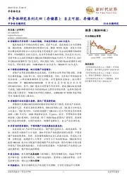 半导体专题研究：半导体研究系列之四（存储器）：自主可控，存储之道