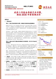 汽车及新能源行业周报：政府工作报告再提汽车消费，海南2030年禁售燃油车