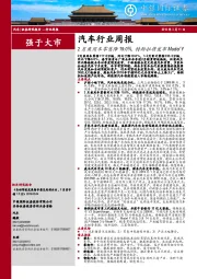 汽车行业周报：2月乘用车零售降19.0% ，特斯拉将发布Model Y