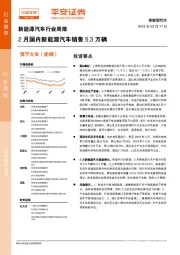 新能源汽车行业周报：2月国内新能源汽车销售5.3万辆