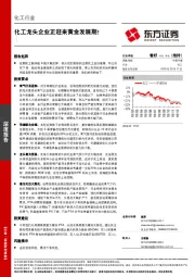 化工行业深度报告：化工龙头企业正迎来黄金发展期！