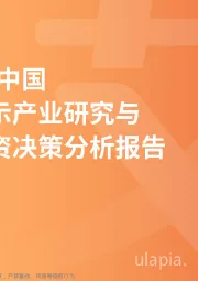 2019年中国柔性显示产业研究与商业投资决策分析报告