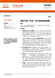 电力行业快评：龙跃于渊，华龙一号开启核电新篇章