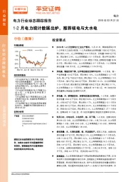 电力行业动态跟踪报告：1-2月电力统计数据出炉，推荐核电与大水电