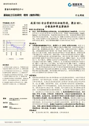基础化工行业研究：我国EHS安全管理仍处初级阶段，聚合MDI、分散染料等显著提价