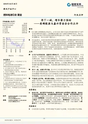 燃料电池行业-美锦能源与嘉兴管委会合作点评：再下一城，增长潜力强劲