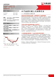 电力设备行业深度研究：科创投资手册系列-从宁波容百看三元材料行业