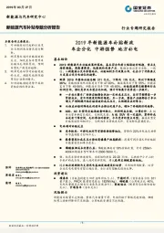 新能源汽车补贴专题分析报告：2019年新能源车补贴新政 车企分化 中游强势 地方补电