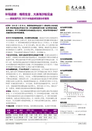 新能源汽车2019补贴退坡深度分析报告：补贴退坡：格局生变，大浪淘沙始见金