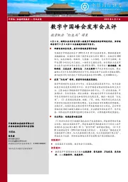 计算机：数字中国峰会发布会点评-投资机会“红包雨”将至